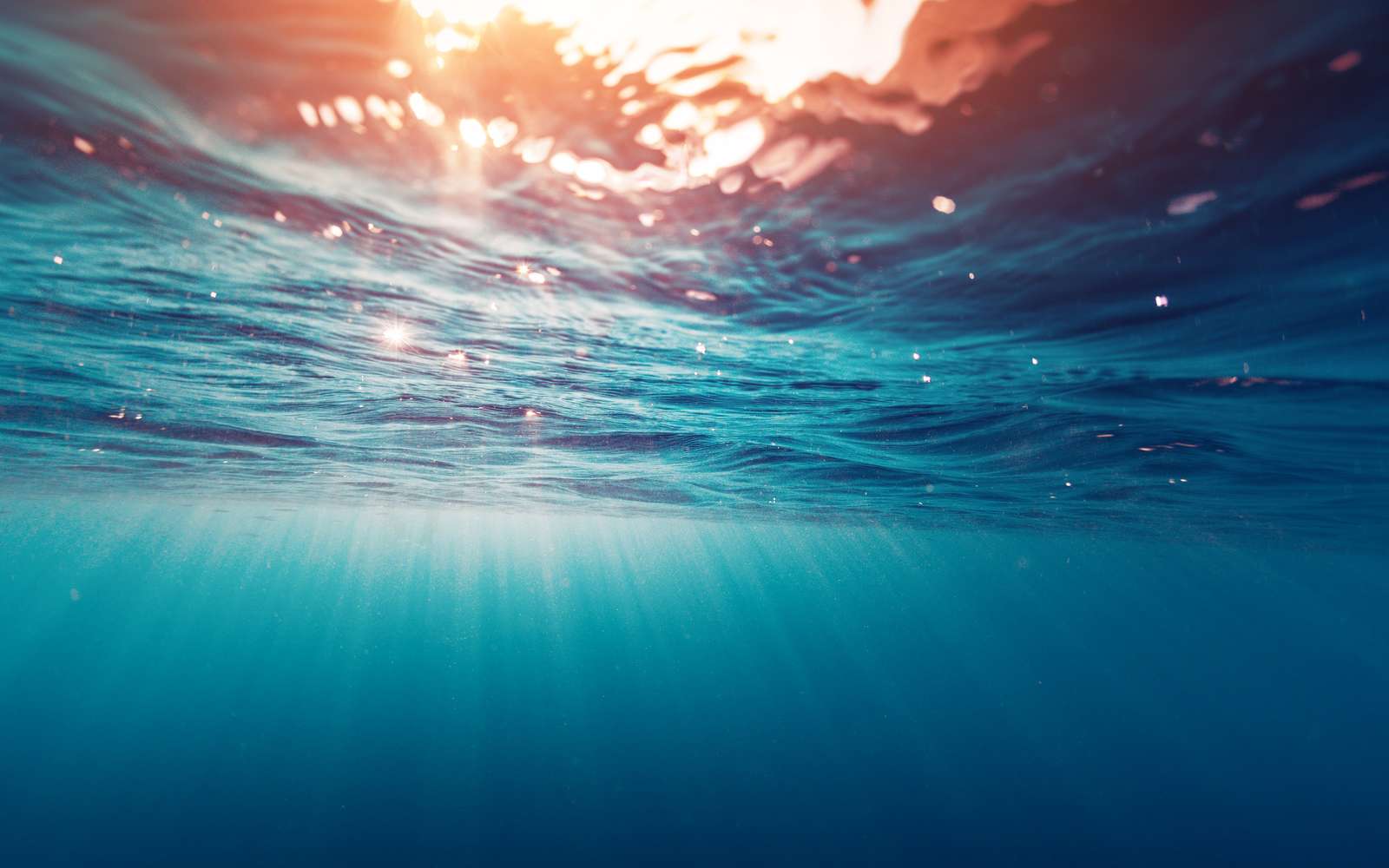 7d82ddcc55_126034_ocean-dudarev-mikhail-fotolia-01.jpg
